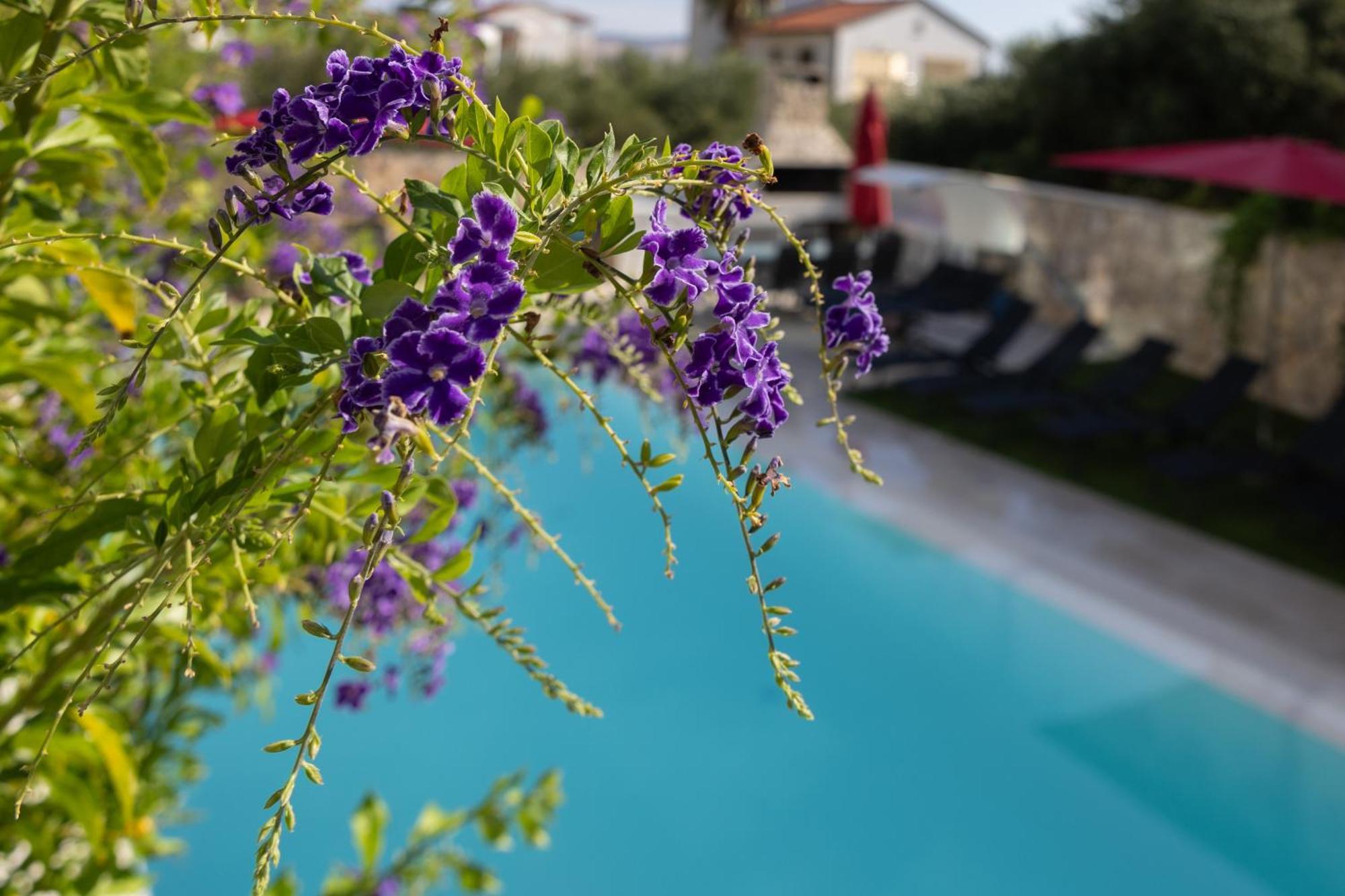 Villa Aqua Zaboric Exteriör bild